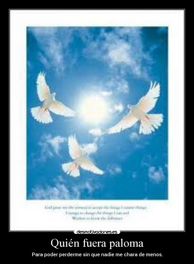 Quién fuera paloma - Para poder perderme sin que nadie me chara de menos.