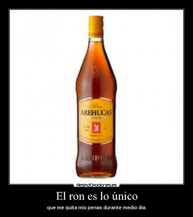 El ron es lo único - que me quita mis penas durante medio dia.