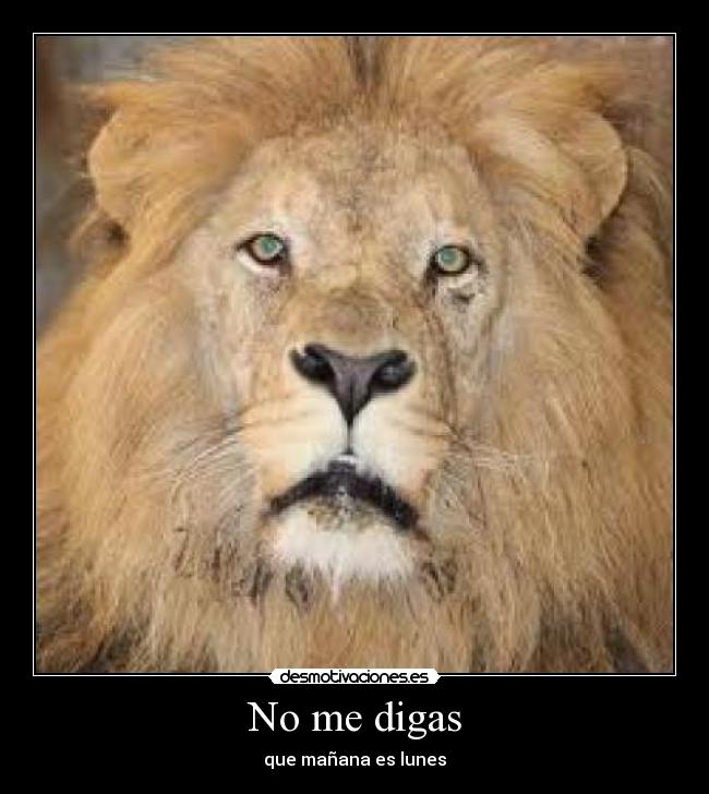 No me digas - 
