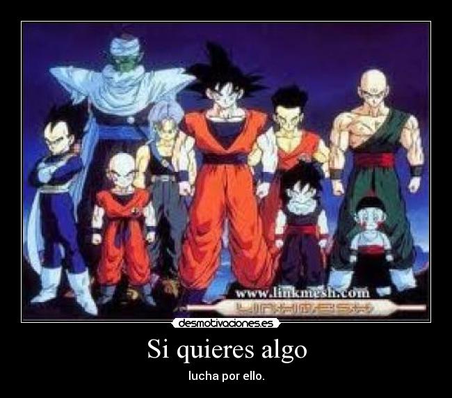 Si quieres algo - lucha por ello.