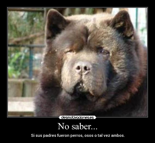 carteles  desmotivaciones