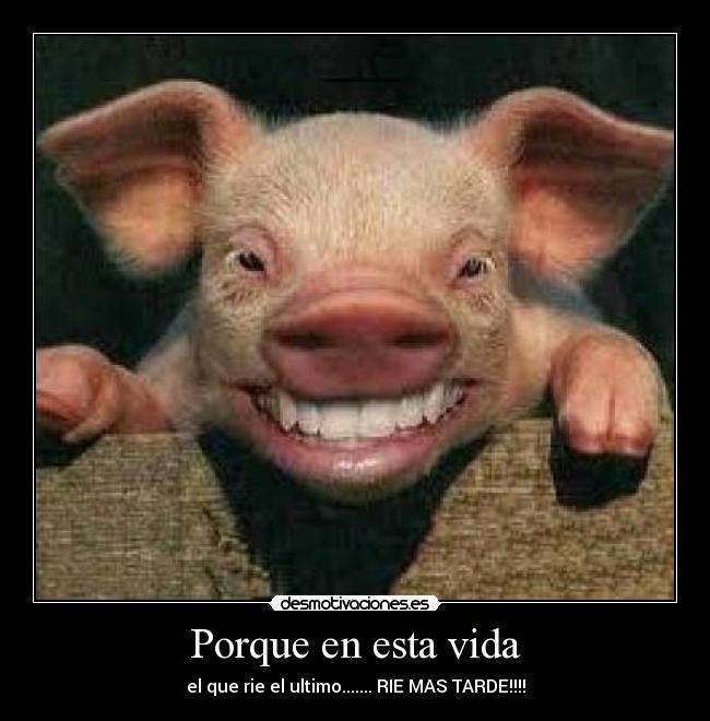 Porque en esta vida - el que rie el ultimo....... RIE MAS TARDE!!!!