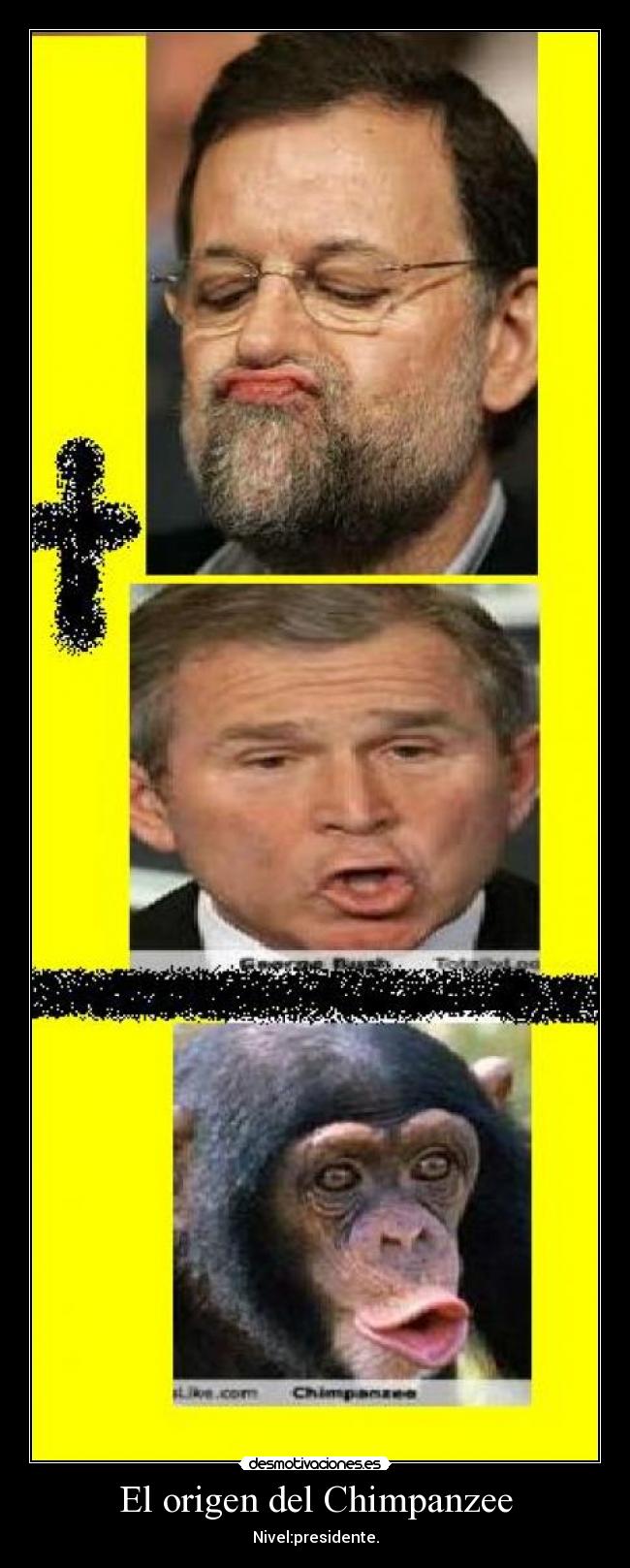 El origen del Chimpanzee - Nivel:presidente.