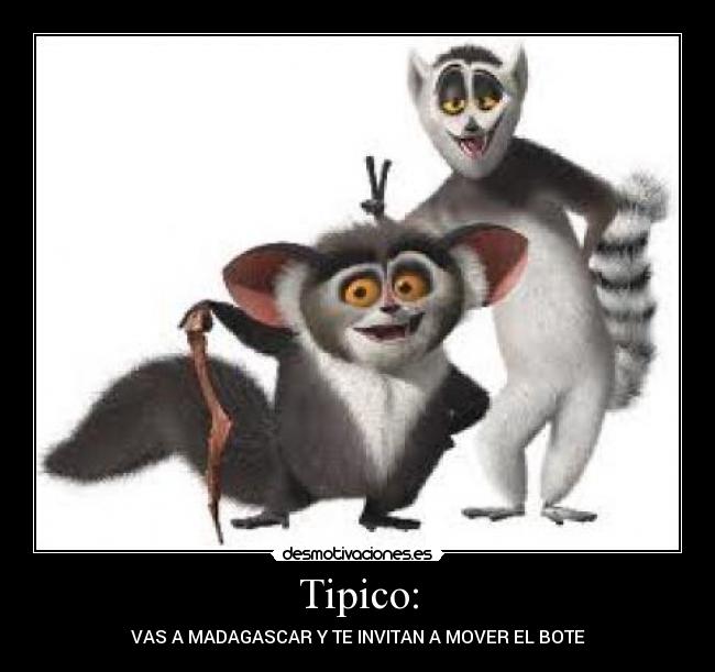 Tipico: - VAS A MADAGASCAR Y TE INVITAN A MOVER EL BOTE