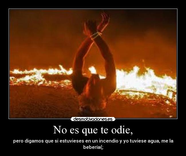 No es que te odie, -