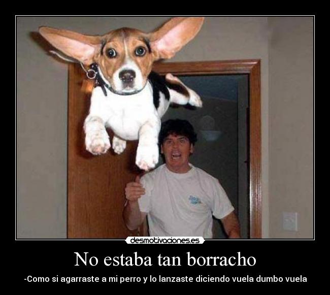 No estaba tan borracho -