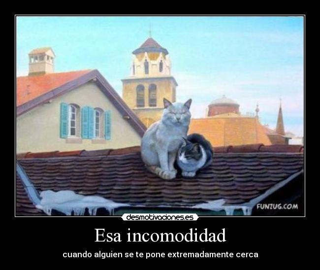 carteles gatos lolailos desmotivaciones