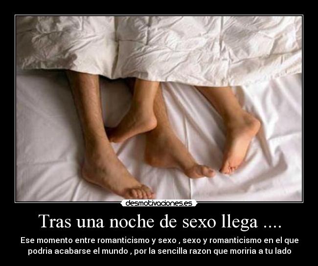 Noche sexo Noche sexo