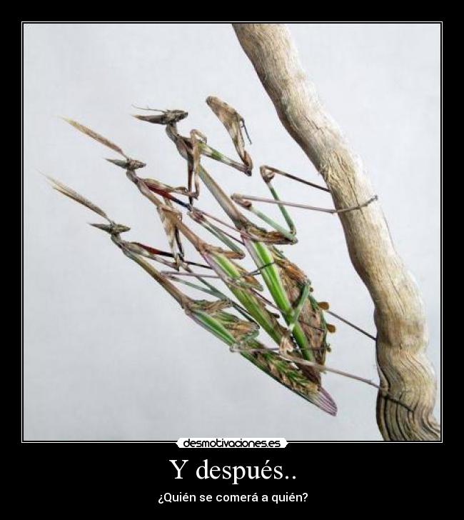 Y después.. - 