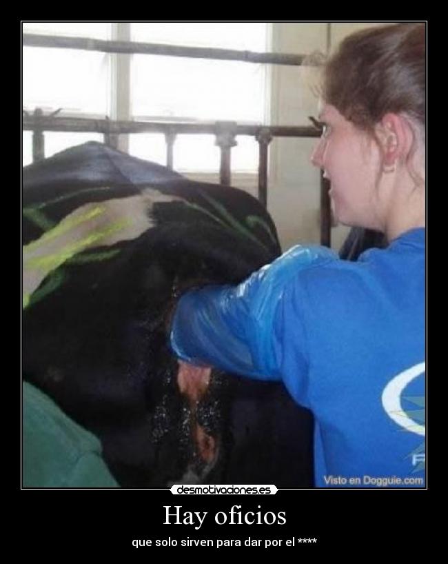 carteles dfc desmotivaciones