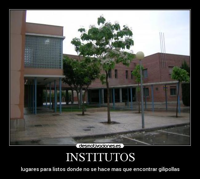 INSTITUTOS - 