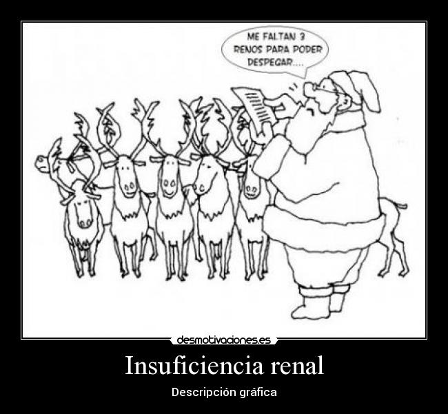 Insuficiencia renal - Descripción gráfica