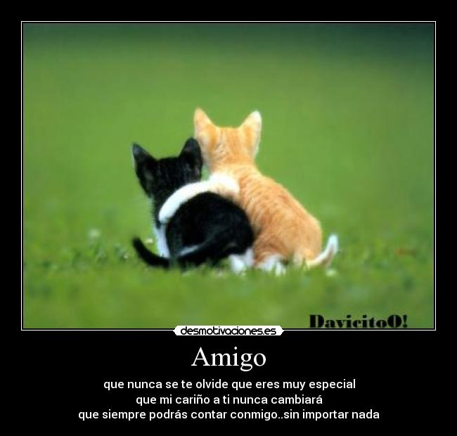 Amigo -