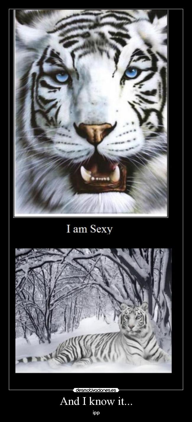 And I know it... - ipp