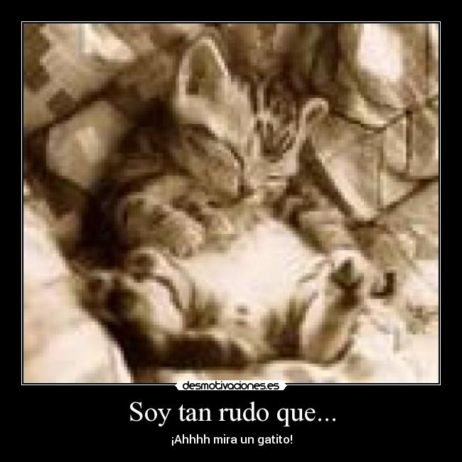 Soy tan rudo que... - ¡Ahhhh mira un gatito!