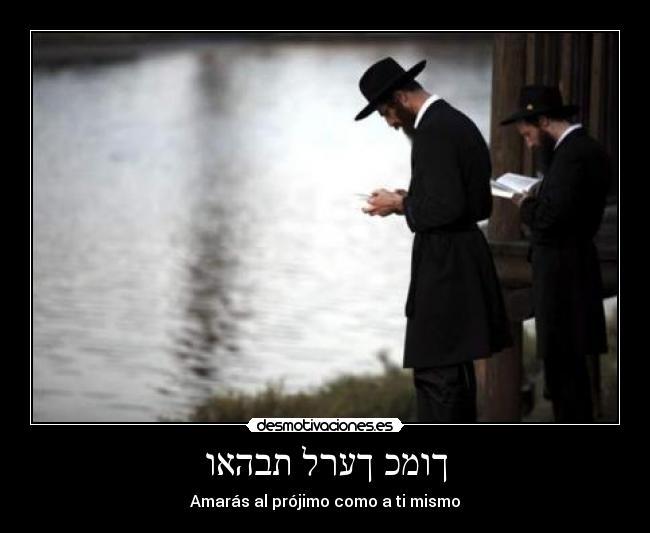 carteles bellum veritatis desmotivaciones