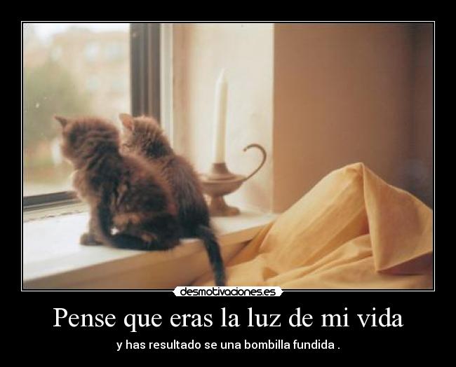 carteles vida pense desmotivaciones