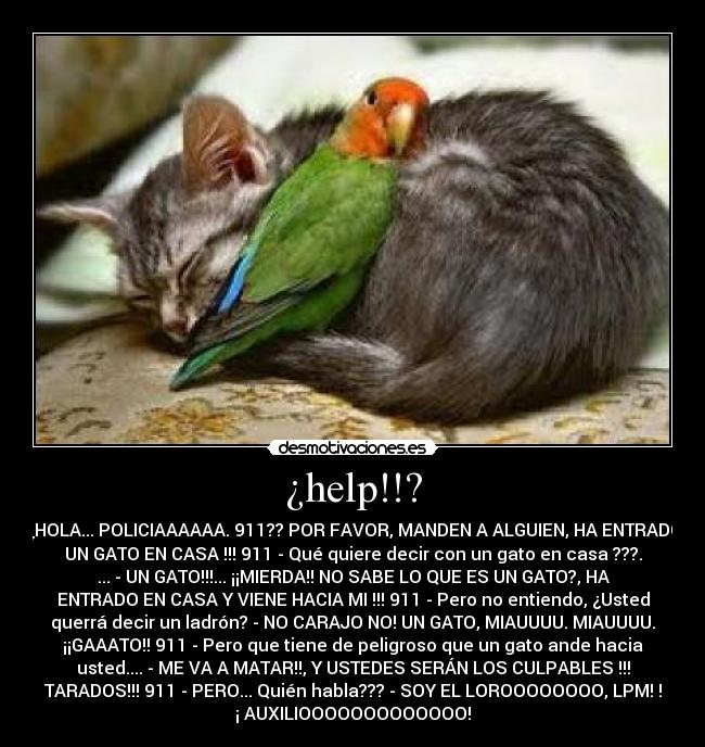 ¿help!!? -