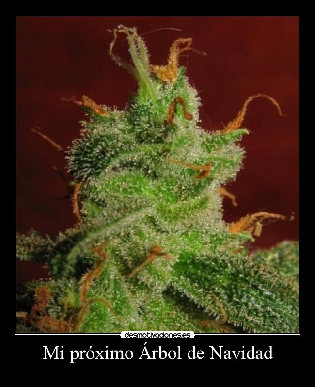 carteles navidad coma cannabis desmotivaciones