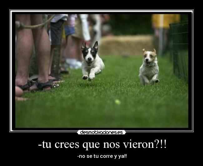 -tu crees que nos vieron?!! -