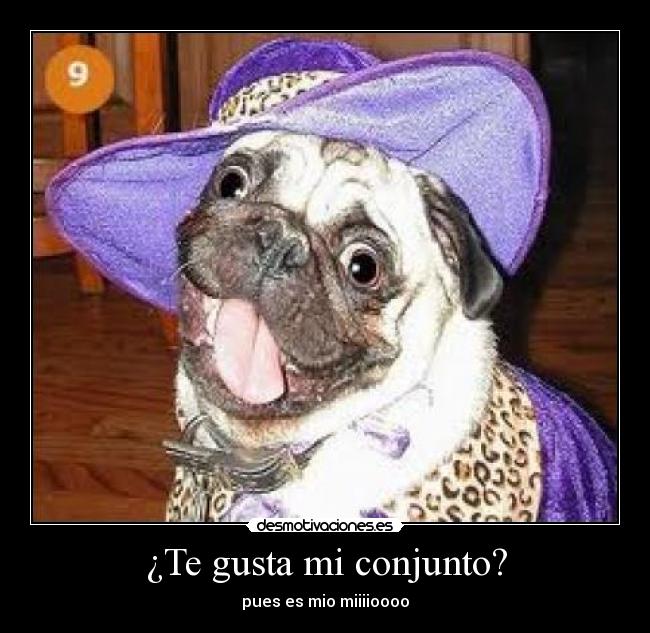 ¿Te gusta mi conjunto? - pues es mio miiiioooo