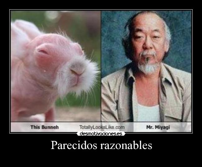 Parecidos razonables -