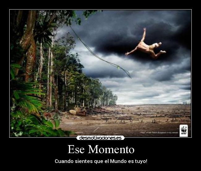 Ese Momento - Cuando sientes que el Mundo es tuyo!