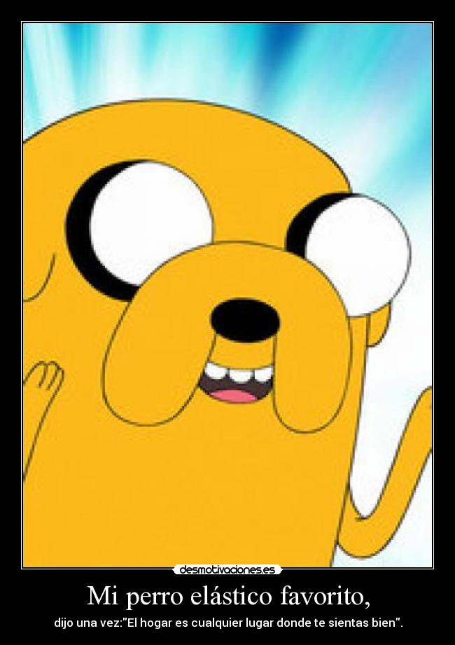 Mi perro elástico favorito, -