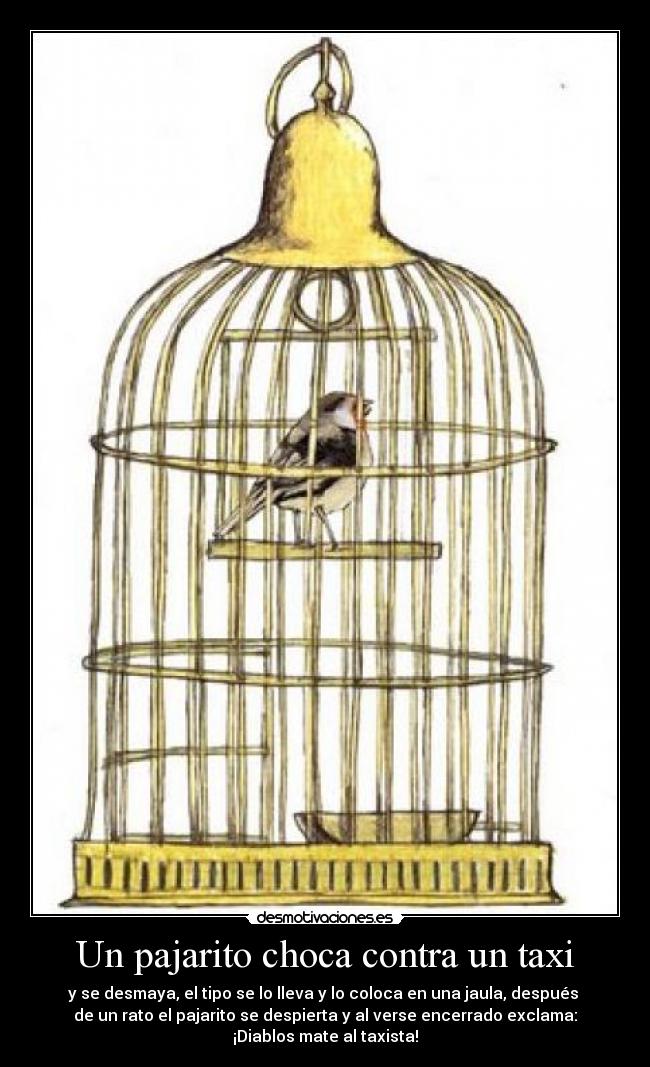 Un pajarito choca contra un taxi - y se desmaya, el tipo se lo lleva y lo coloca en una jaula, después 
de un rato el pajarito se despierta y al verse encerrado exclama:
¡Diablos mate al taxista!