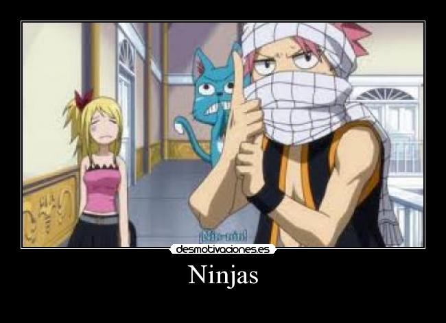 Ninjas - 