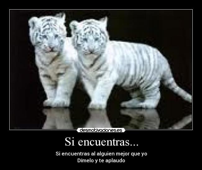 Si encuentras... - Si encuentras al alguien mejor que yo
Dímelo y te aplaudo