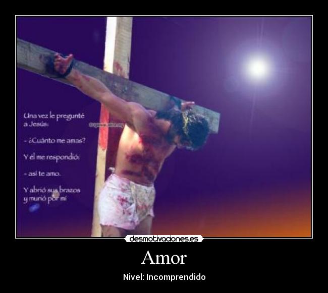 Amor -