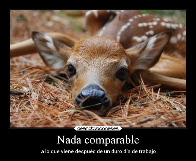 Nada comparable - a lo que viene después de un duro día de trabajo