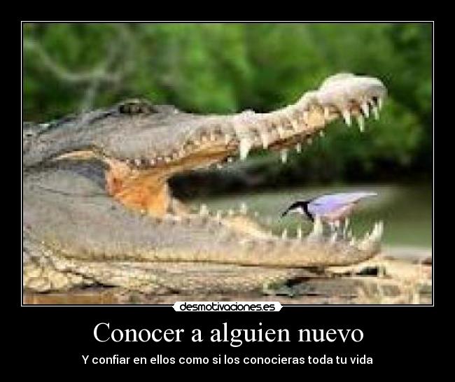 Conocer a alguien nuevo - Y confiar en ellos como si los conocieras toda tu vida