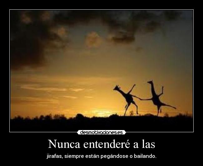 Nunca entenderé a las - jirafas, siempre están pegándose o bailando.
