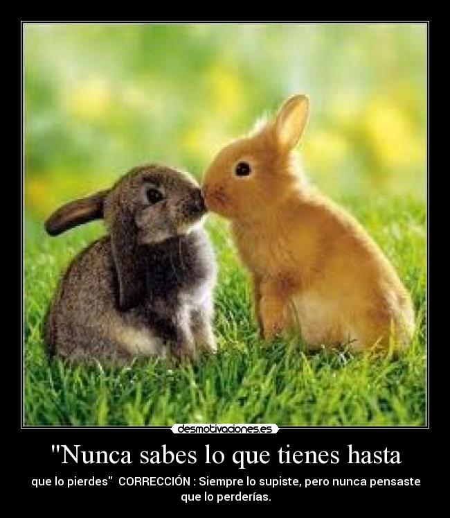Nunca sabes lo que tienes hasta - que lo pierdes  CORRECCIÓN : Siempre lo supiste, pero nunca pensaste
que lo perderías.