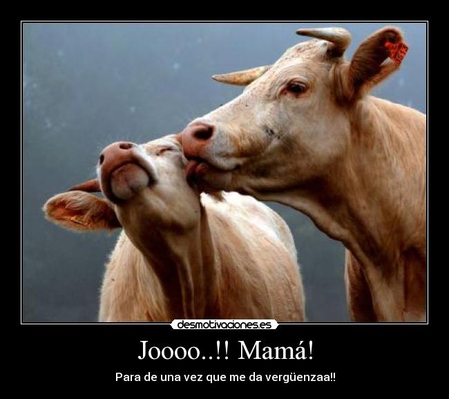 Joooo..!! Mamá! - Para de una vez que me da vergüenzaa!!