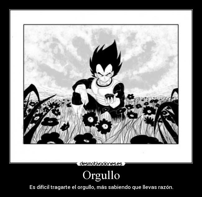 Orgullo - Es difícil tragarte el orgullo, más sabiendo que llevas razón.