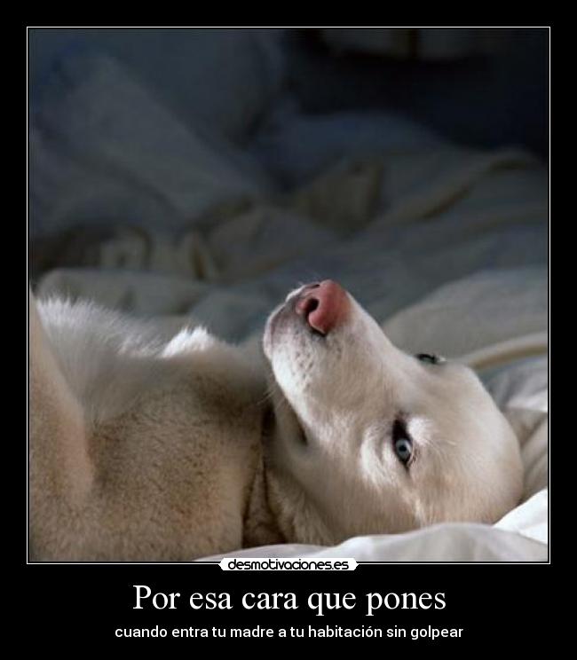 Por esa cara que pones - cuando entra tu madre a tu habitación sin golpear