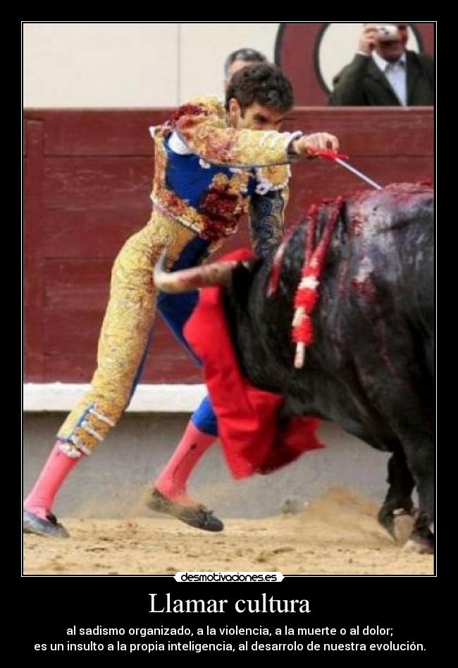 Llamar cultura -