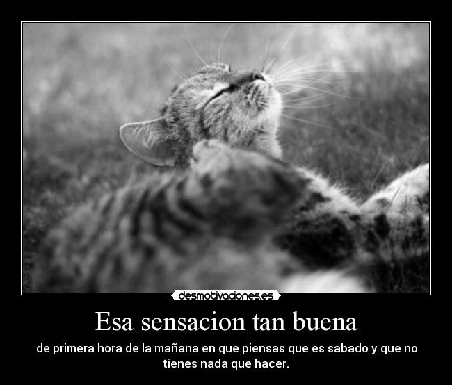 Esa sensacion tan buena - de primera hora de la mañana en que piensas que es sabado y que no
tienes nada que hacer.