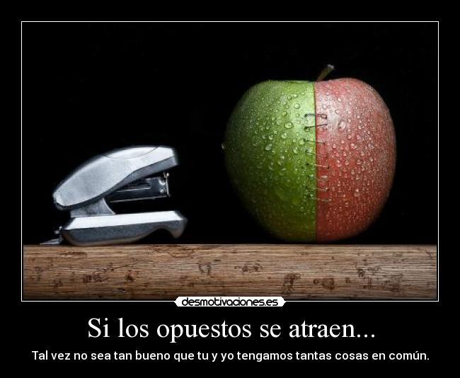 Si los opuestos se atraen... - Tal vez no sea tan bueno que tu y yo tengamos tantas cosas en común.