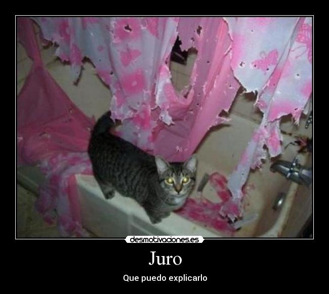 Juro - Que puedo explicarlo