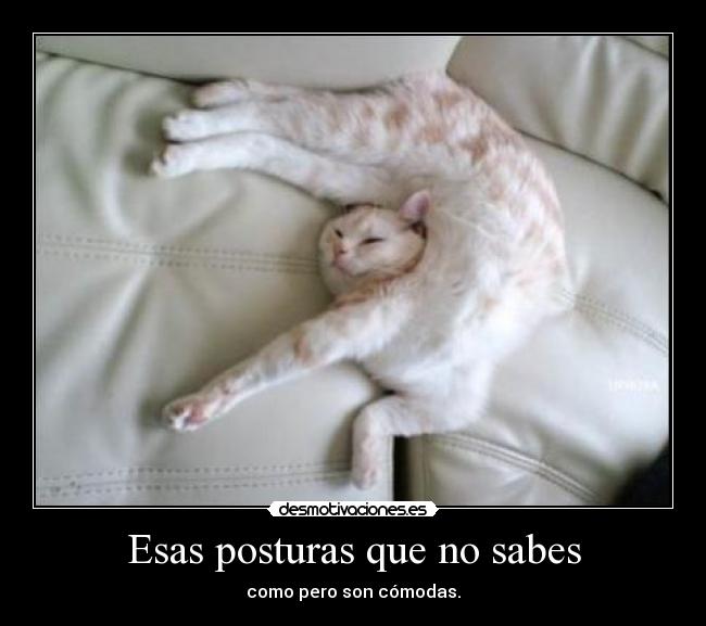 Esas posturas que no sabes -