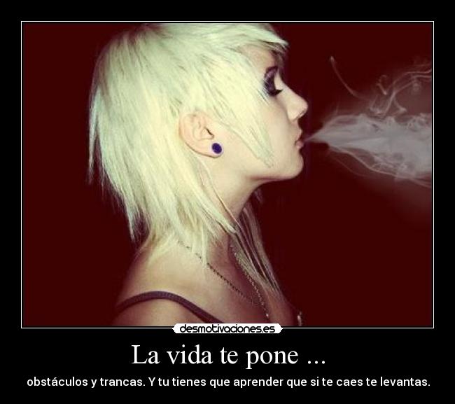 La vida te pone ... - 