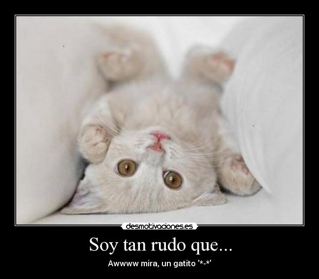 Soy tan rudo que... - Awwww mira, un gatito *-*♥