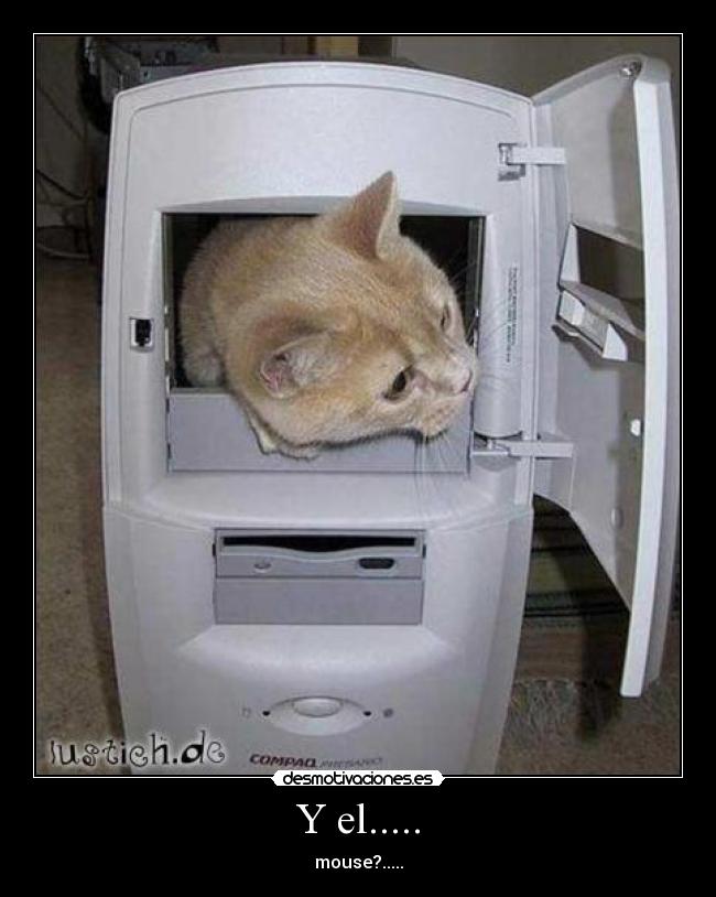 Y el..... - mouse?.....