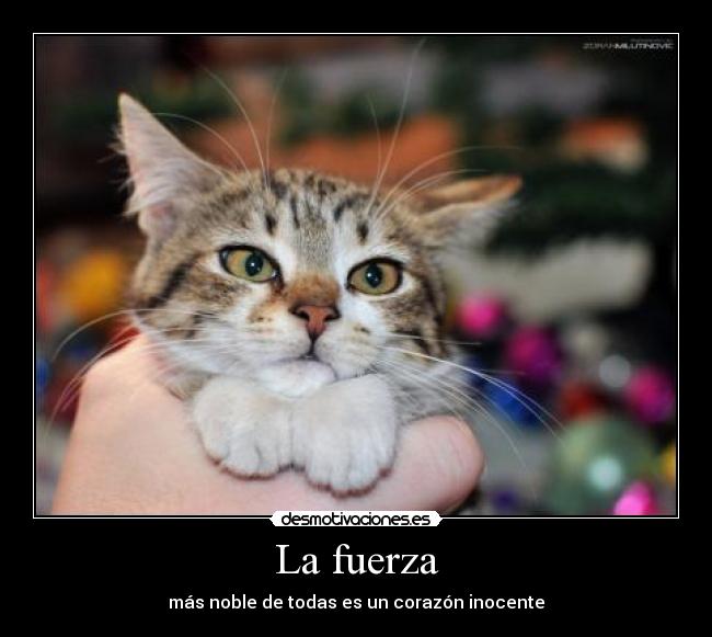 La fuerza - más noble de todas es un corazón inocente