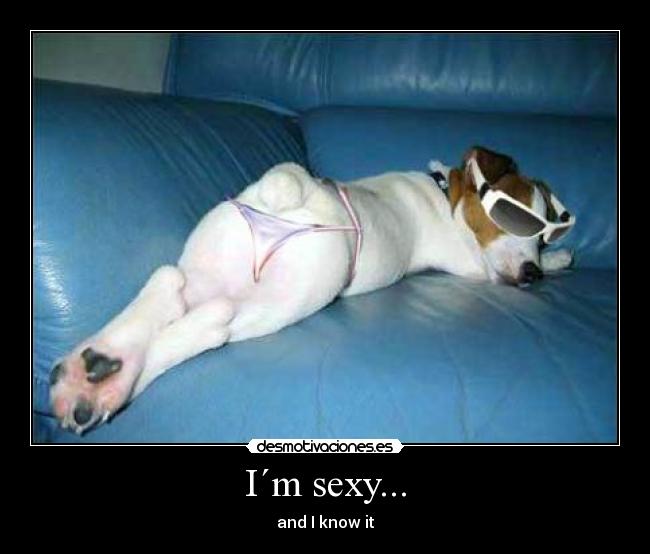 I´m sexy... - 