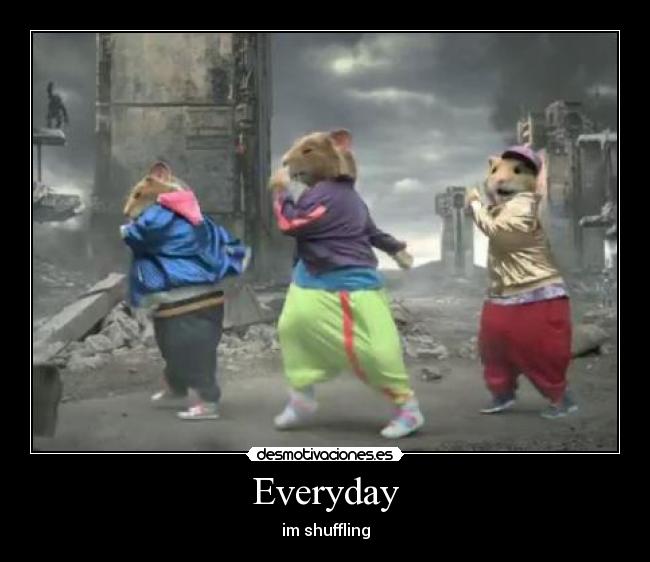 Everyday - 
